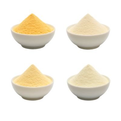 Cheese Powders